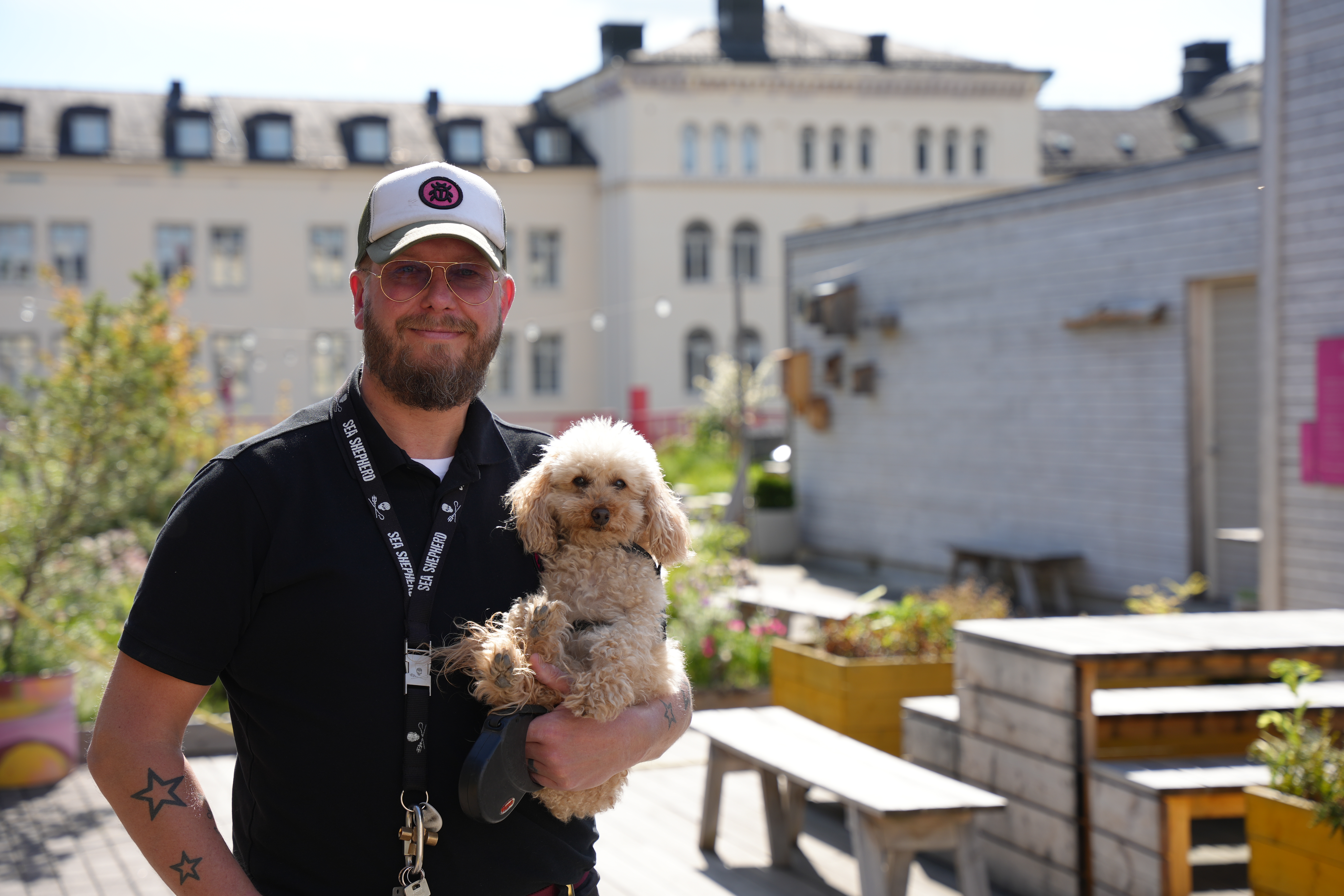 Marcus Ståhl, vd på Bee Urban, med hunden Sixten i famnen.