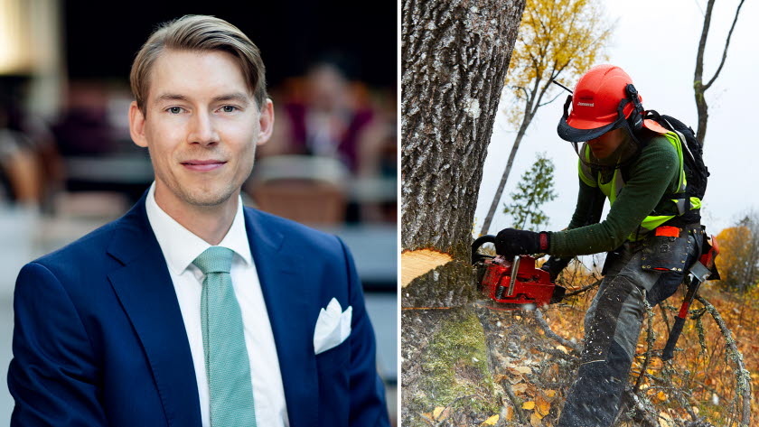 Bild på Joakim Wirén, chefsekonom på Gröna arbetsgivare, och genrebild från skogsbruk.