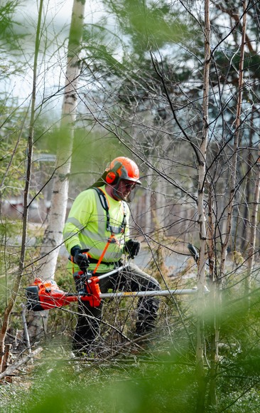 Bild på Samuel Nording som röjer.