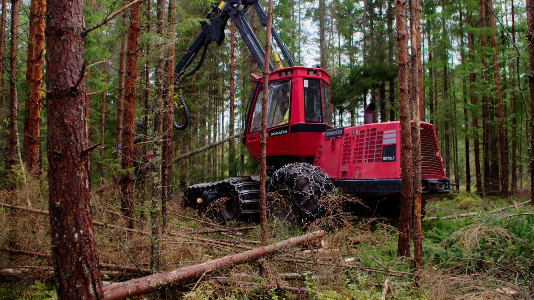 Skördare i arbete.