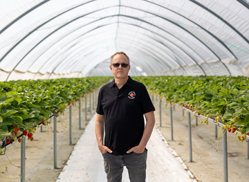 Fredrik Hörenius, vd för Ulvagubben, framför jordgubbsland.