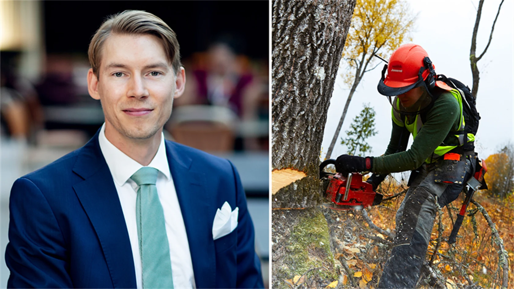 Bild på Joakim Wirén, chefsekonom på Gröna arbetsgivare, och genrebild från skogsbruk.