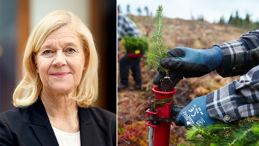 Lena-Liisa Tengblad, vd på Gröna arbetsgivare.