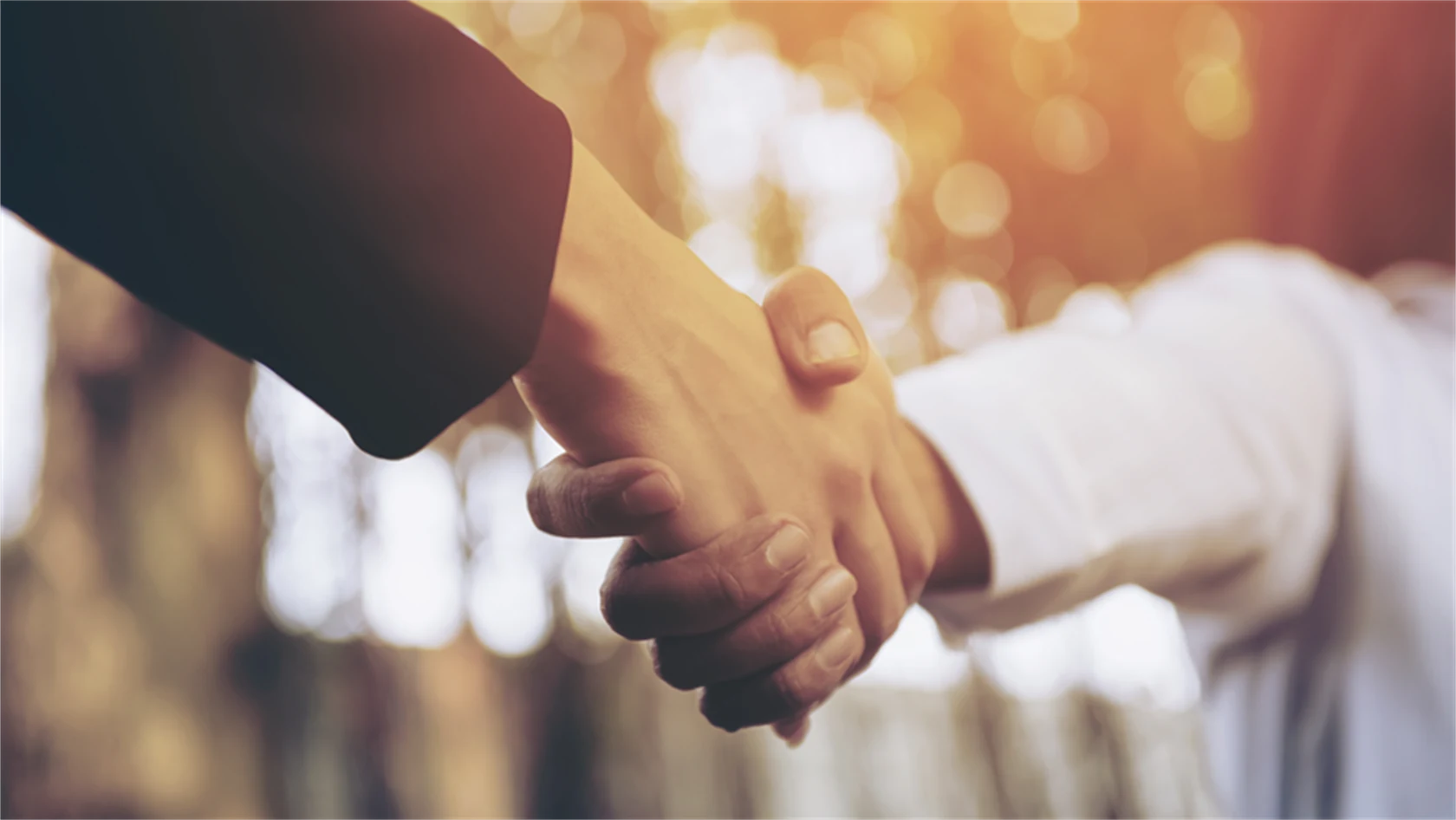Bild på handslag.