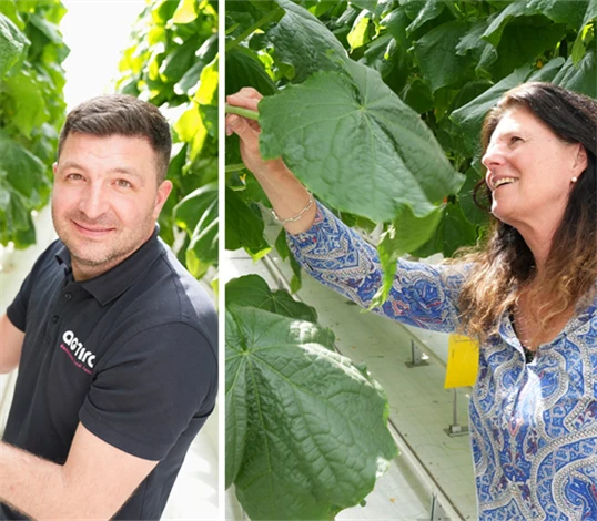 Bild på Dumitru Mititelu, driftschef, och Berit Fryklund, kommunikationschef på Agtira, i växthus.