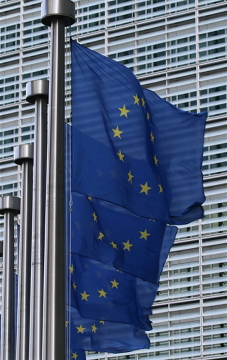Bilder på EU-flaggor.