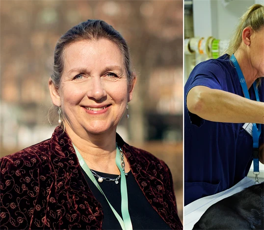 Elisabet Ellström, ordförande Svensk Djursjukvård.