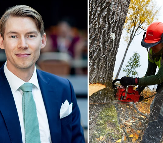 Bild på Joakim Wirén, chefsekonom på Gröna arbetsgivare, och genrebild från skogsbruk.