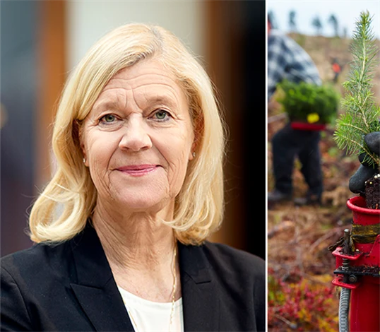 Lena-Liisa Tengblad, vd på Gröna arbetsgivare.