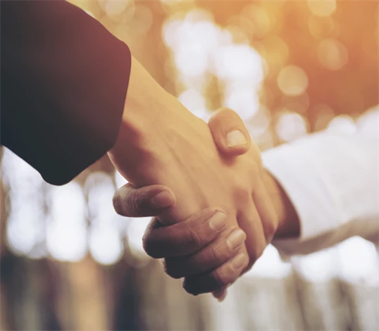 Bild på handslag.