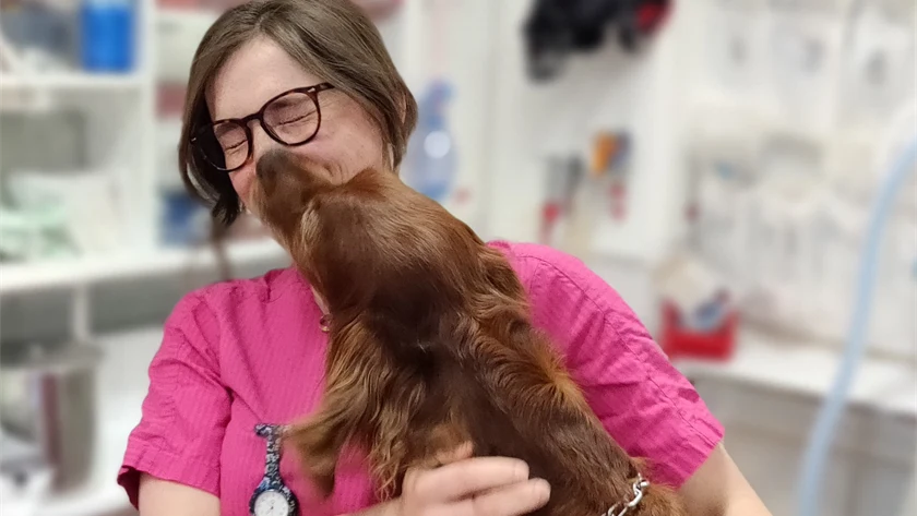 2023 års vinnare av bildtävlingen. Bild på veterinär med hund. Hälsinge Smådjursklinik.