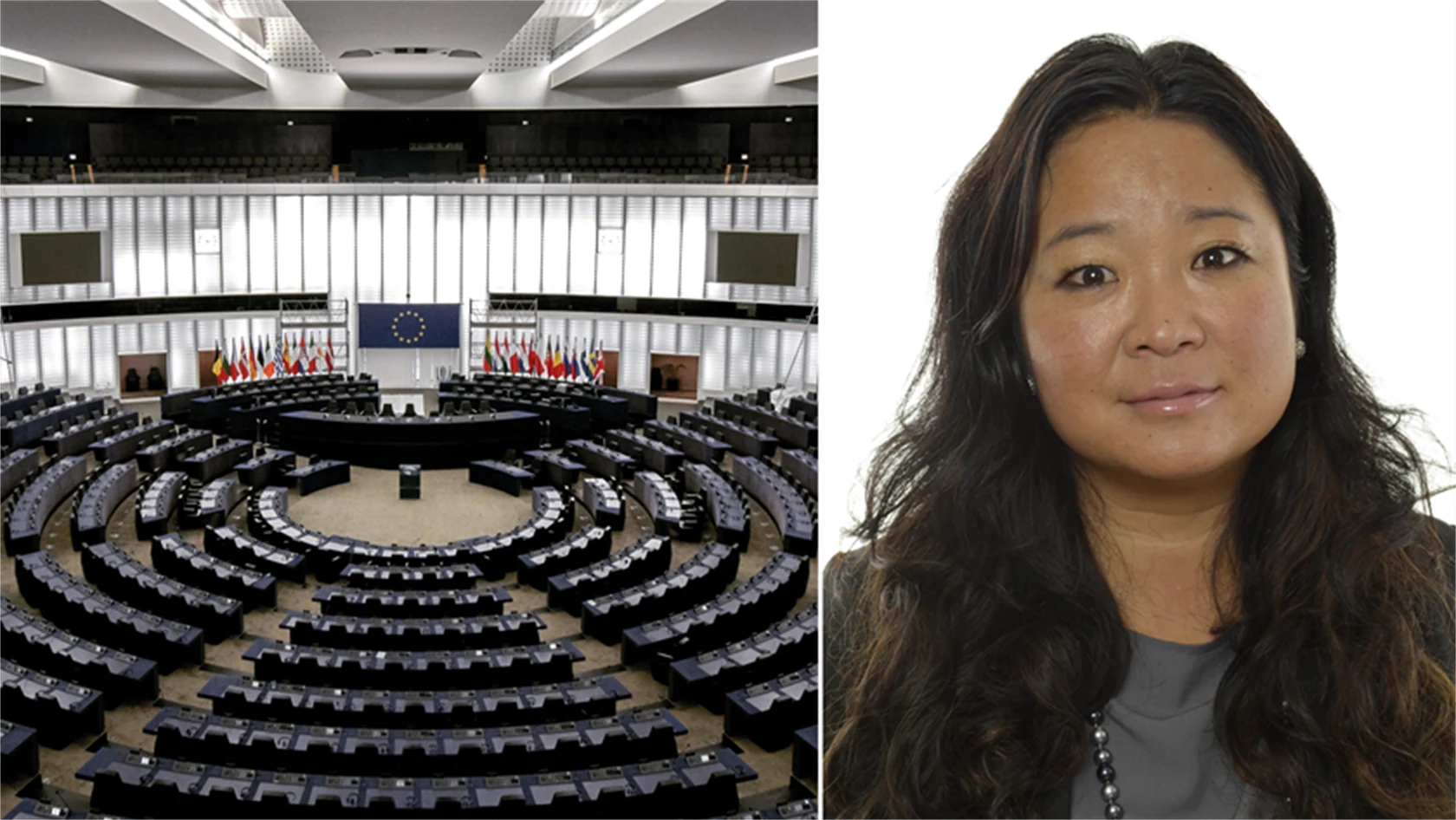 Jessica Polfjärd, EU-parlamentariker för Moderaterna.