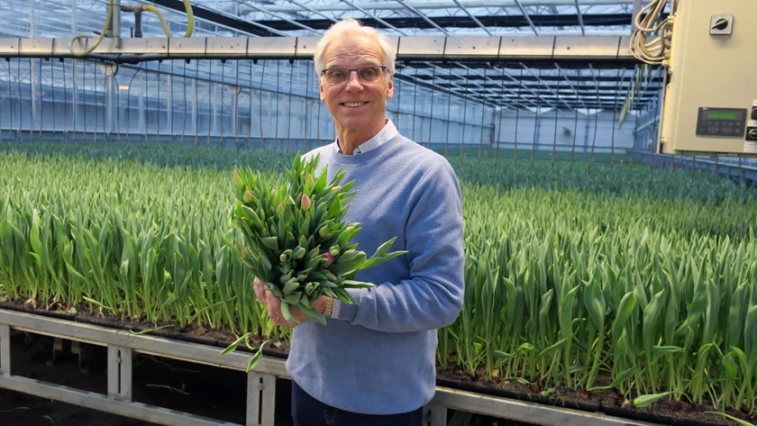 Bild på Håkan Alverbäck, vd Alverbäcks Blommor.