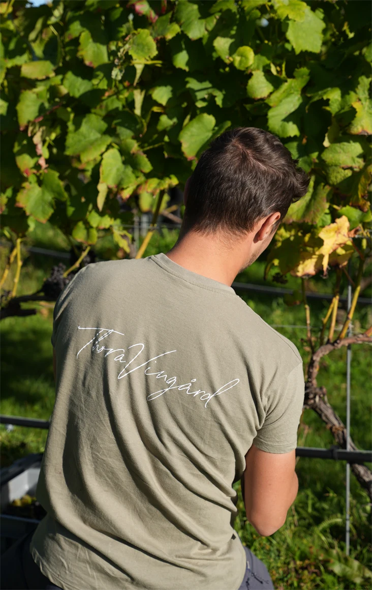 Bild på person med en t-shirt som har trycket "Thora Vingård" på ryggen.