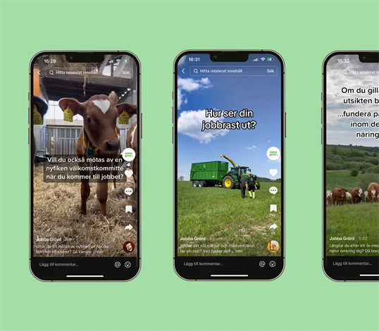Skärmdumpar från Jobba grönts TikTok