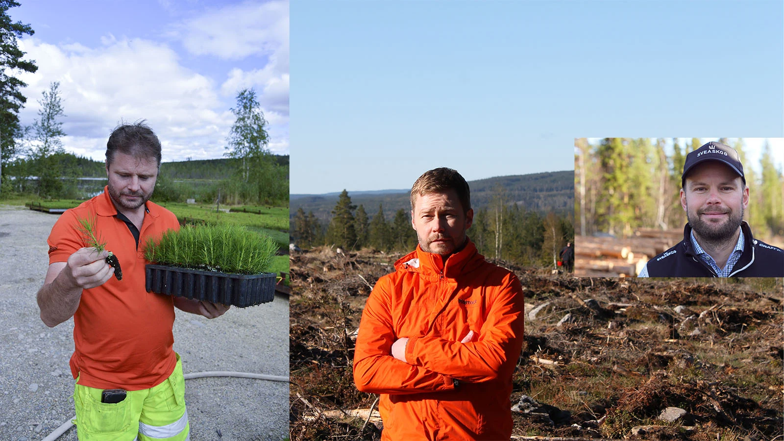 Kenneth Söderström, Qvarnsjö Skogstjänster, Fredrik Gundhe, Dala Kvalitetsskog och Karl Tiger, Sveaskog berättar hur de har hanterat coronakrisen.