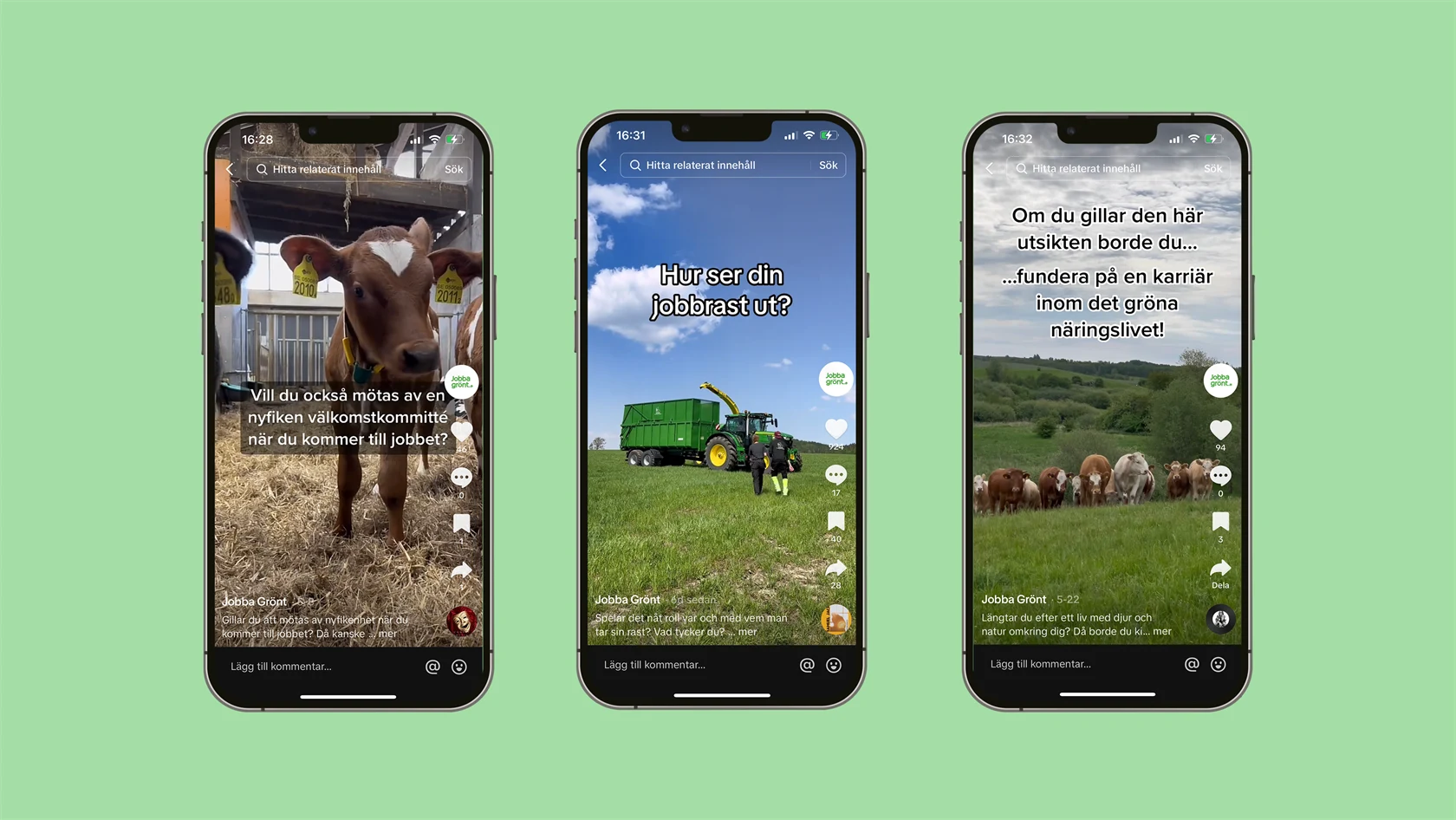 Skärmdumpar från Jobba grönts TikTok