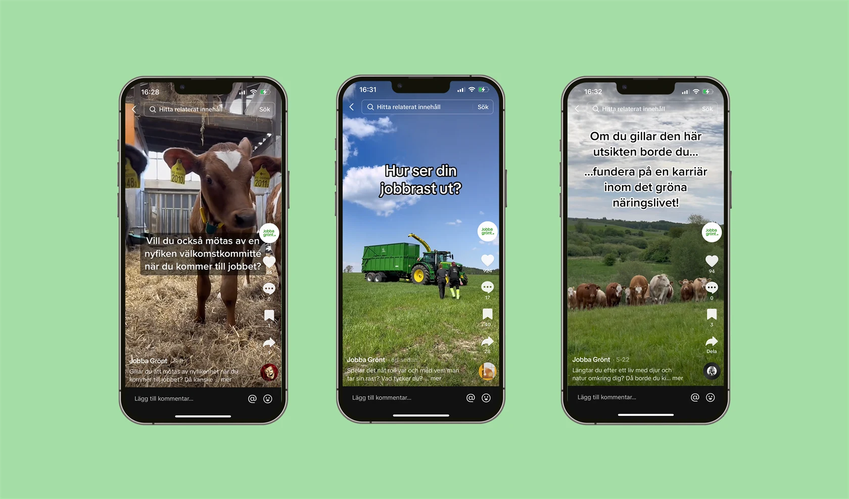 Skärmdumpar från Jobba grönts TikTok