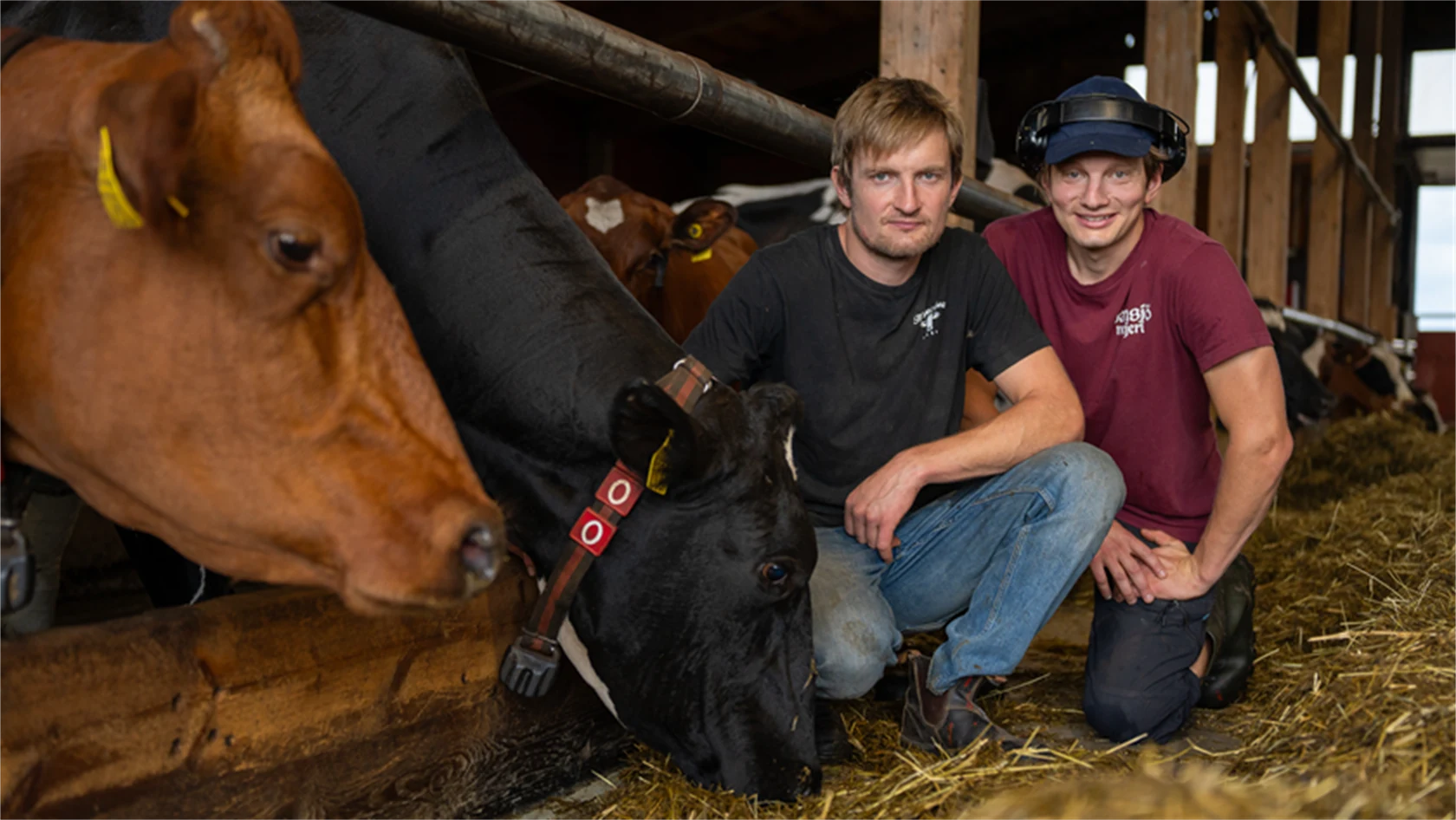 Bild på Johan och Björn Daniels.