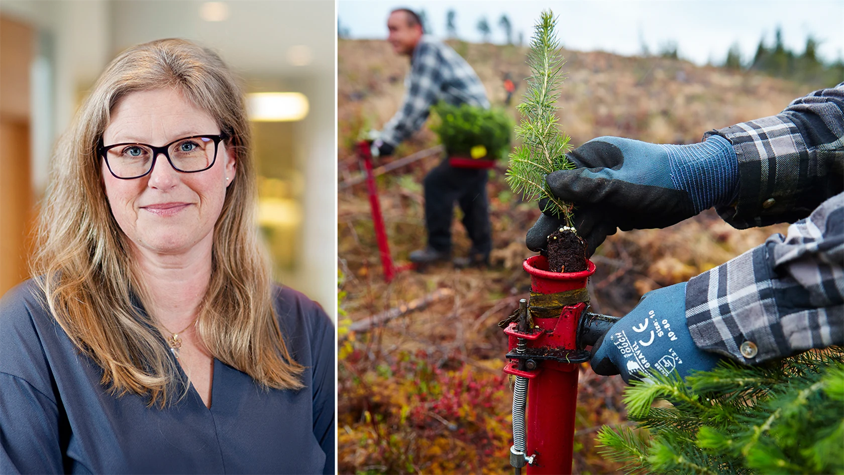 Emma Terander, chef för arbetsmarknad, Grön arbetsgivare.
