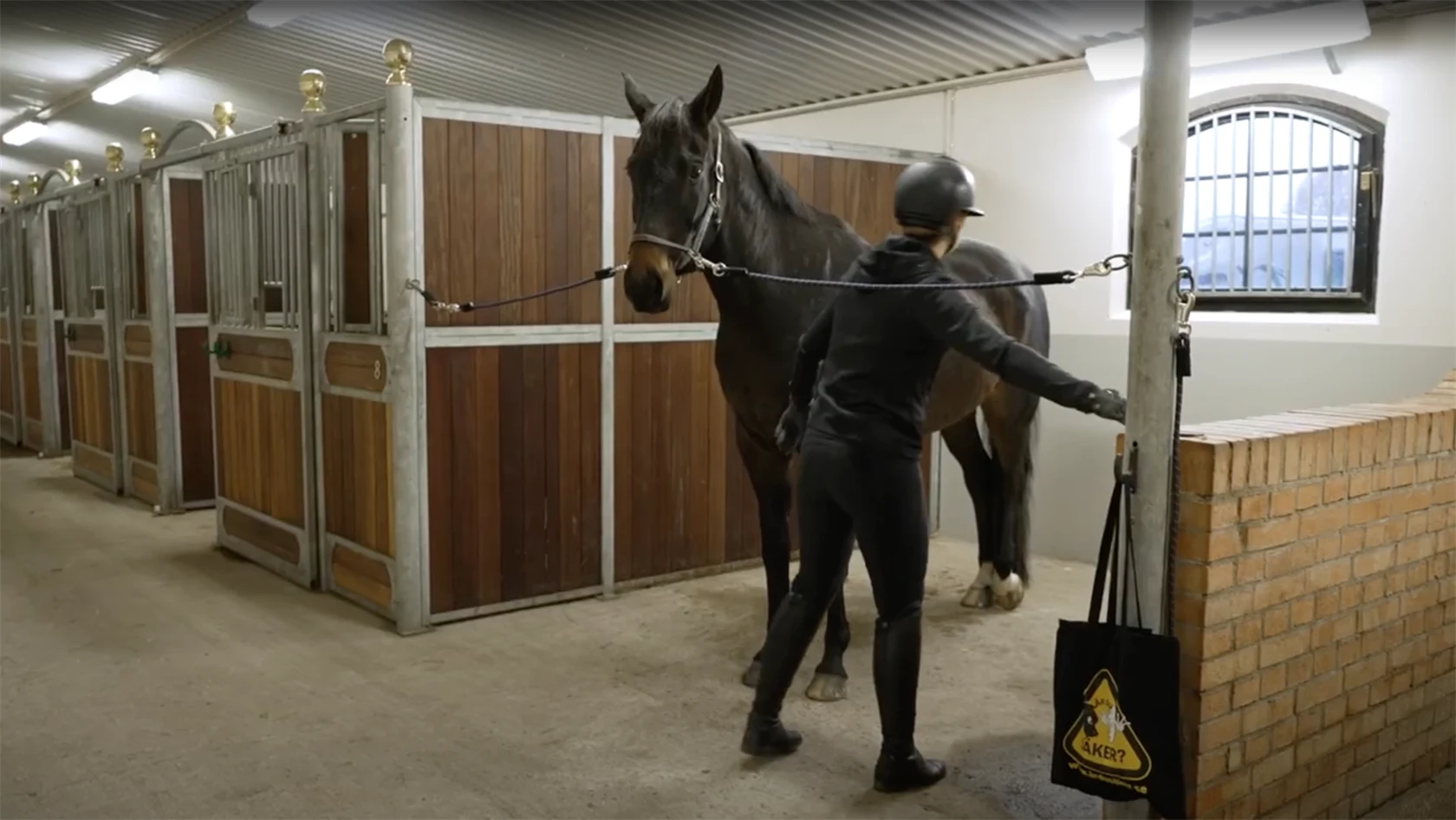 Att arbeta säkert med hästar