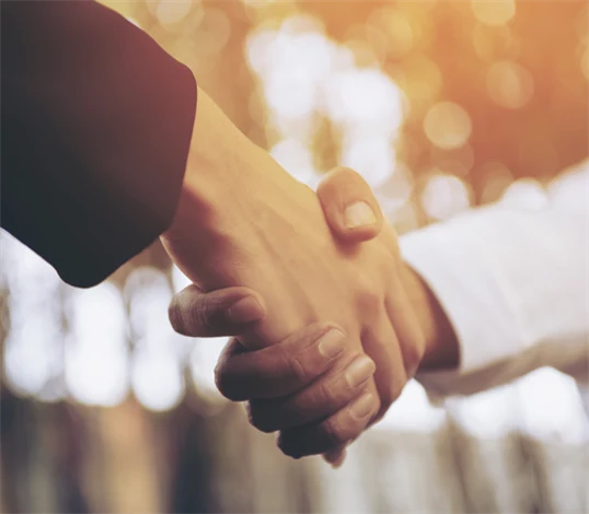 Bild på handslag.