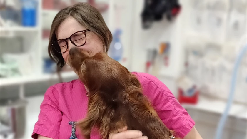 2023 års vinnare av bildtävlingen. Bild på veterinär med hund. Hälsinge Smådjursklinik.