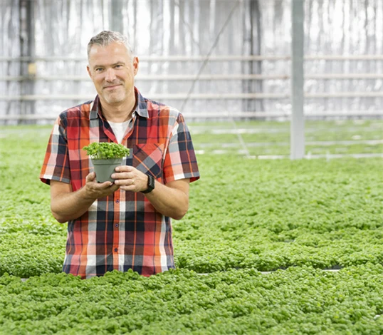 Peter Säll, vd Kabbarps Trädgård.